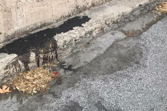 Σιράζ Σαφτάρ